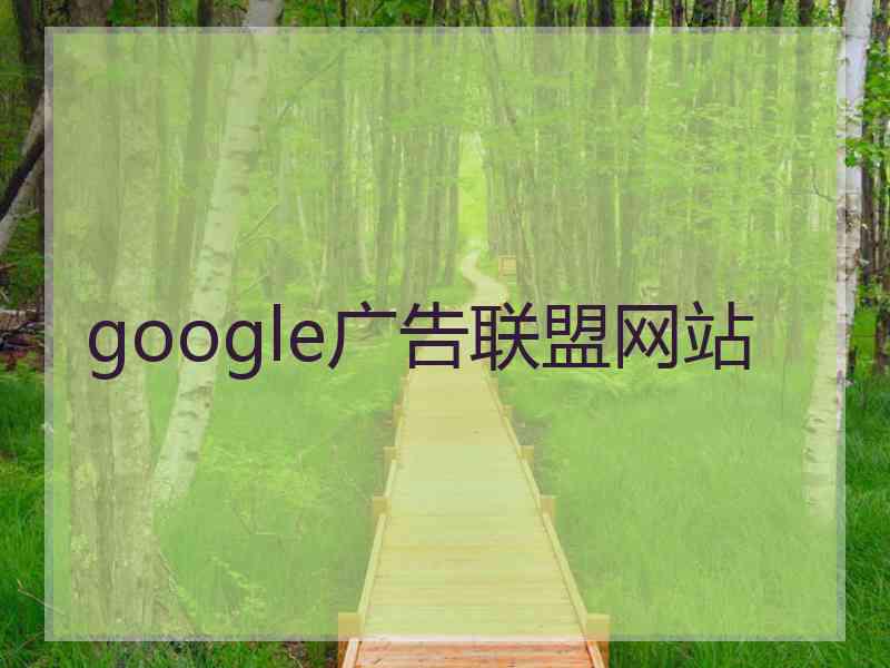 google广告联盟网站