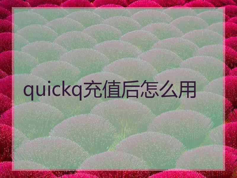 quickq充值后怎么用