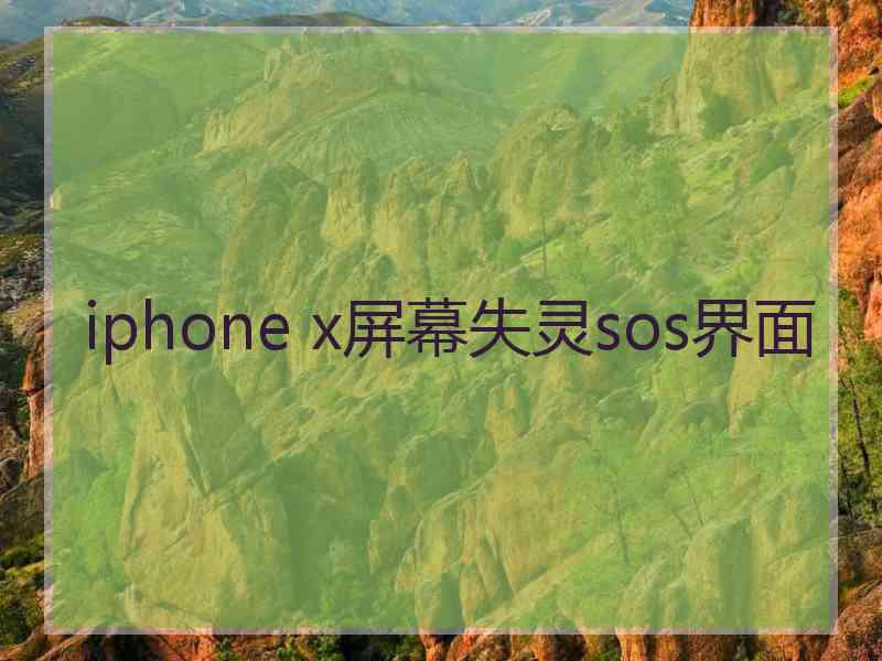 iphone x屏幕失灵sos界面