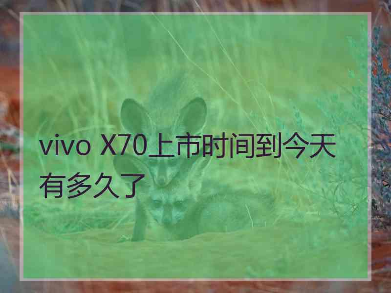 vivo X70上市时间到今天有多久了