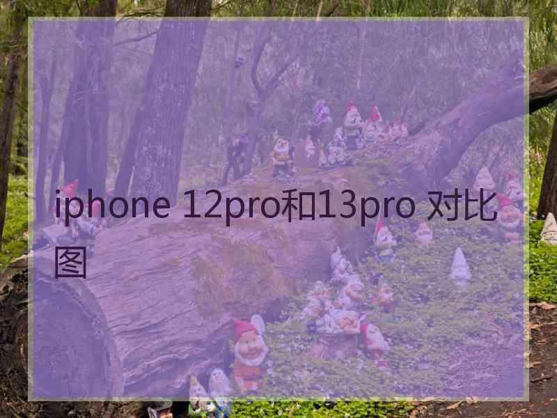 iphone 12pro和13pro 对比图