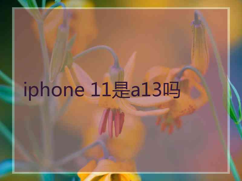 iphone 11是a13吗