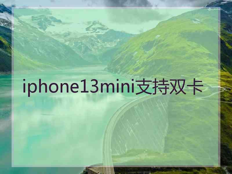 iphone13mini支持双卡