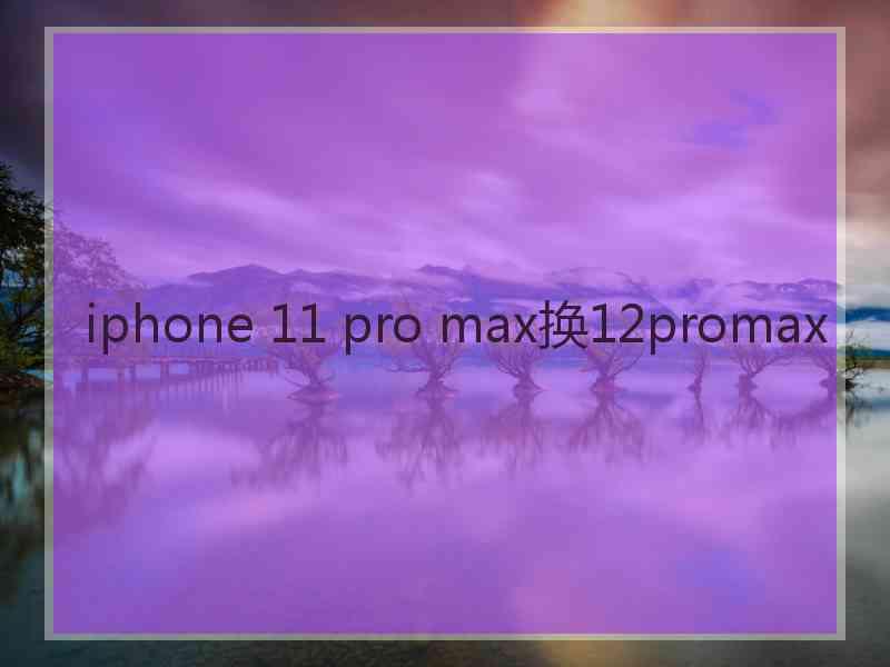 iphone 11 pro max换12promax