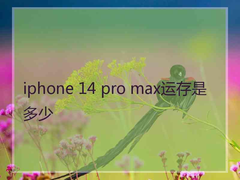 iphone 14 pro max运存是多少