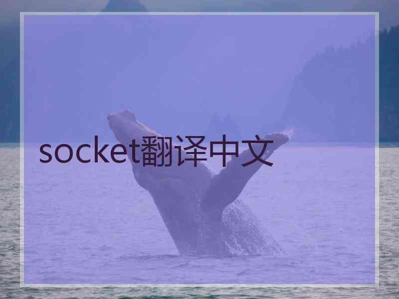 socket翻译中文