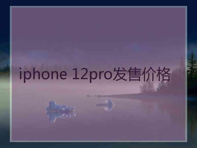 iphone 12pro发售价格