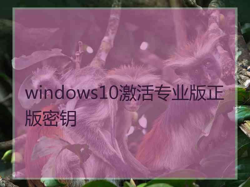 windows10激活专业版正版密钥