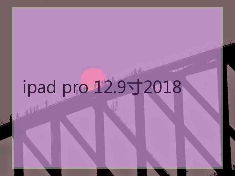 ipad pro 12.9寸2018