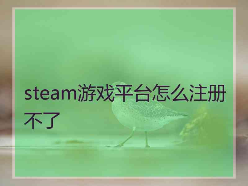 steam游戏平台怎么注册不了