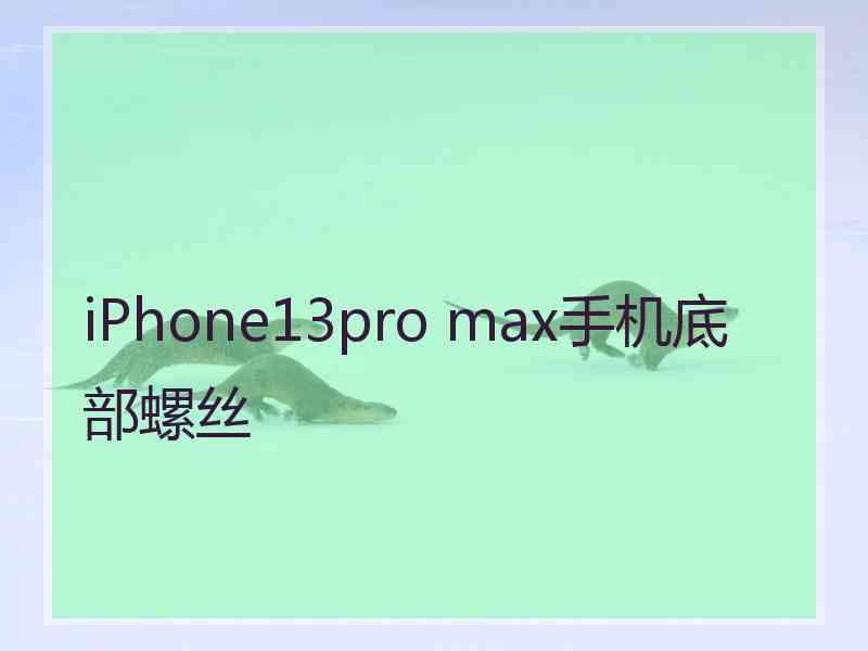 iPhone13pro max手机底部螺丝