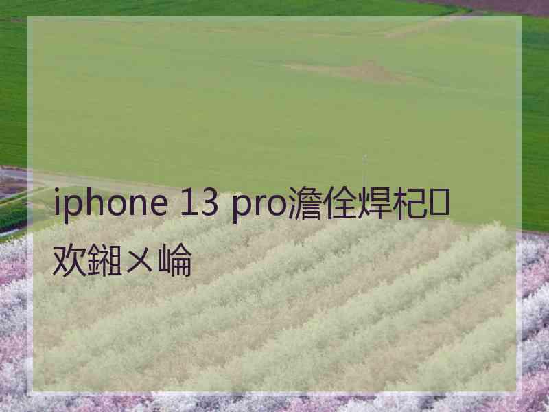 iphone 13 pro澹佺焊杞欢鎺ㄨ崘