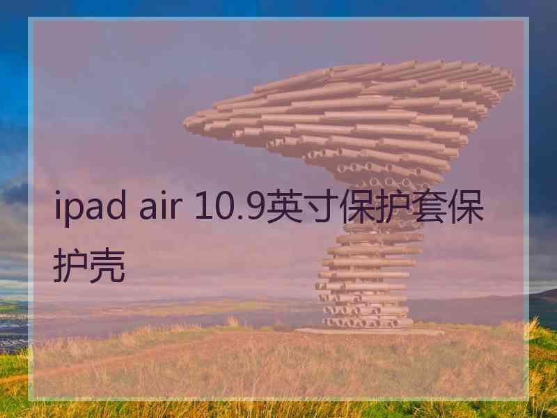 ipad air 10.9英寸保护套保护壳