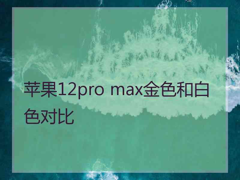 苹果12pro max金色和白色对比