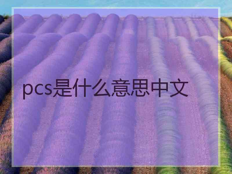 pcs是什么意思中文