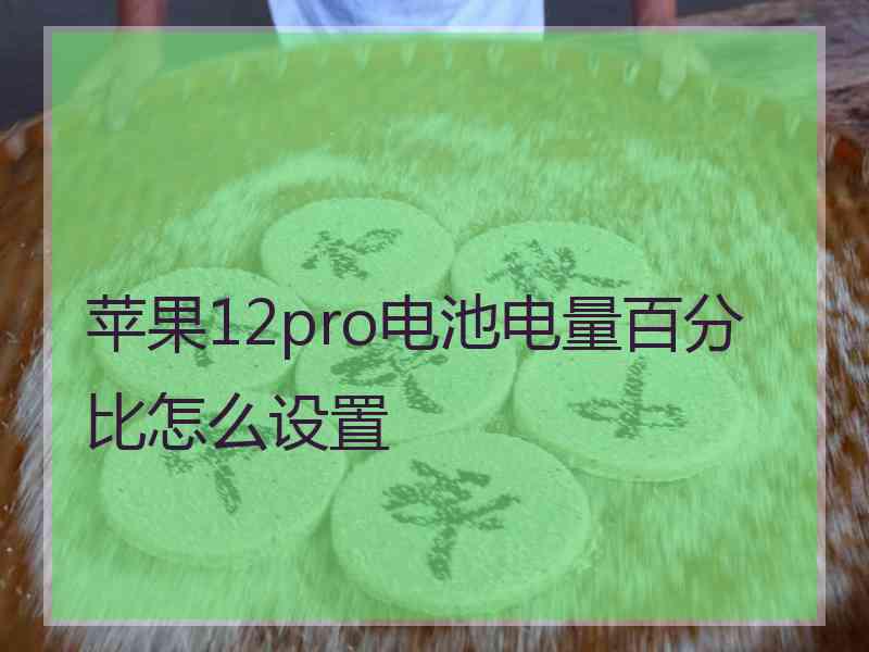 苹果12pro电池电量百分比怎么设置