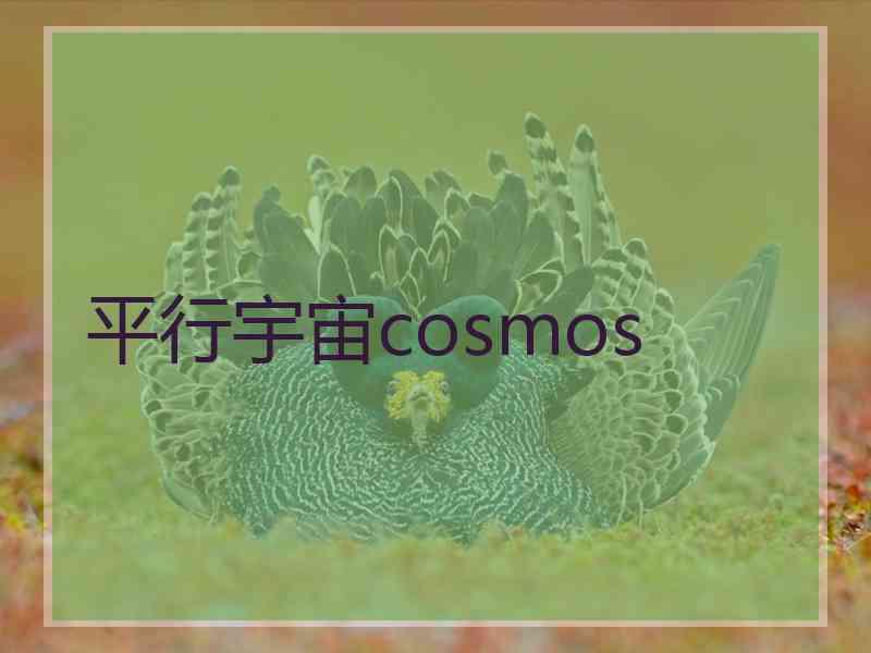 平行宇宙cosmos