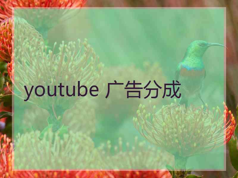 youtube 广告分成