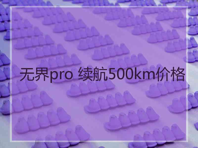 无界pro 续航500km价格