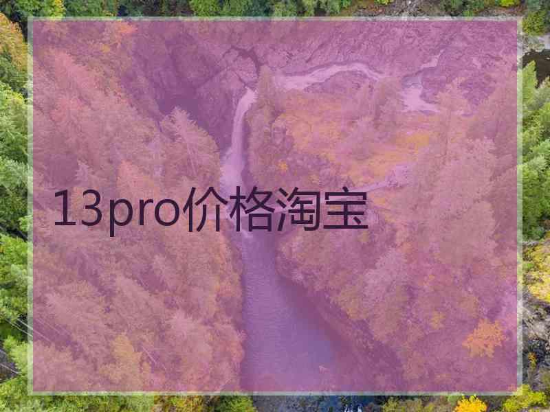 13pro价格淘宝