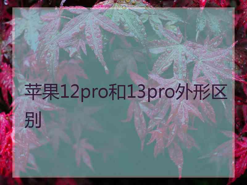 苹果12pro和13pro外形区别