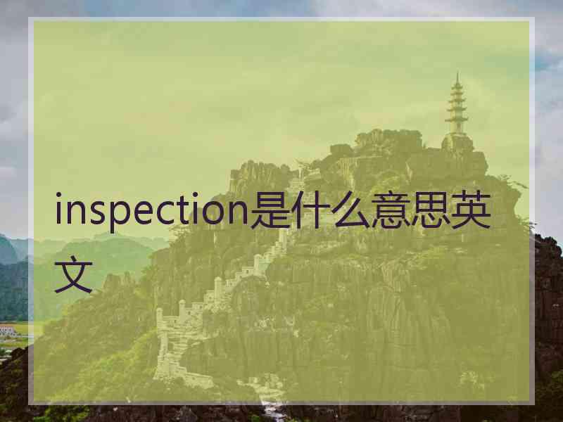 inspection是什么意思英文