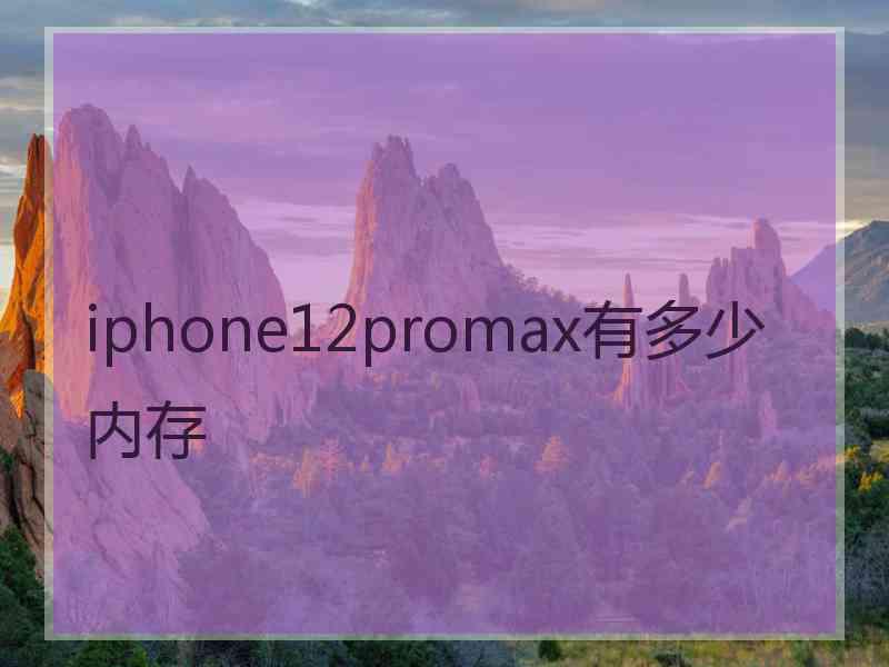 iphone12promax有多少内存