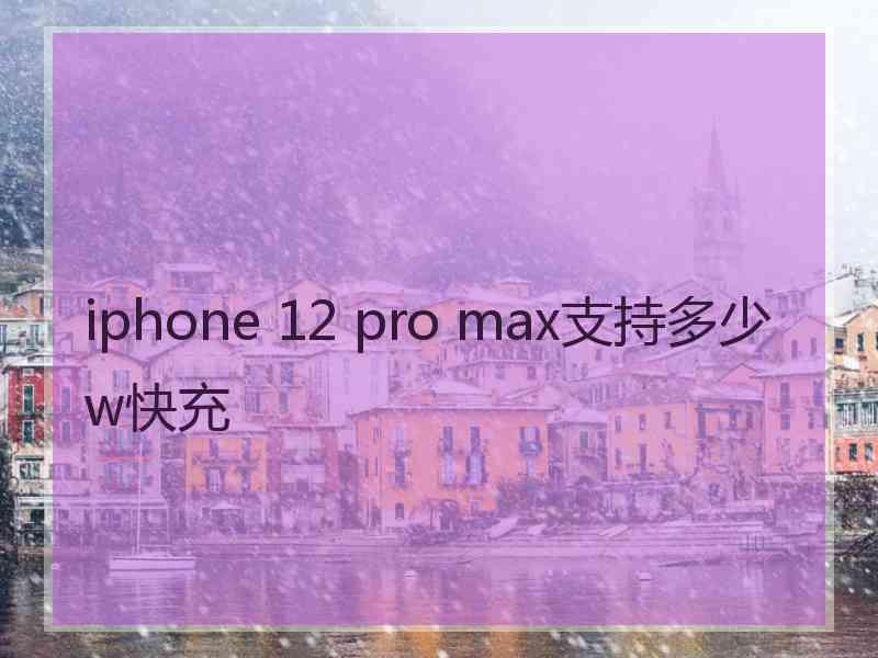 iphone 12 pro max支持多少w快充