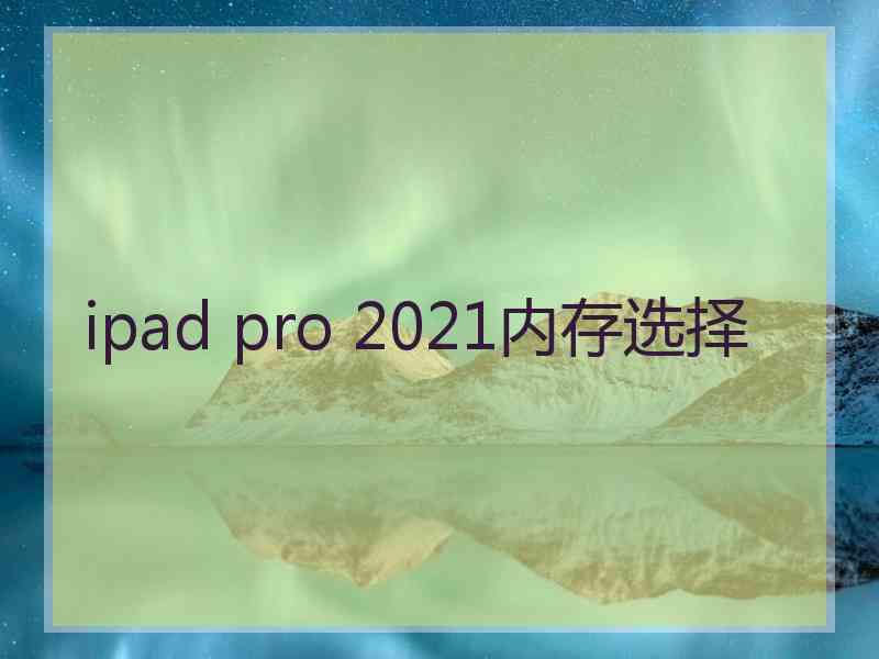 ipad pro 2021内存选择