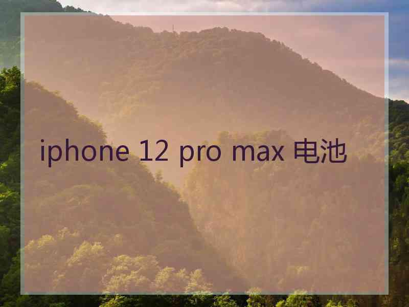 iphone 12 pro max 电池