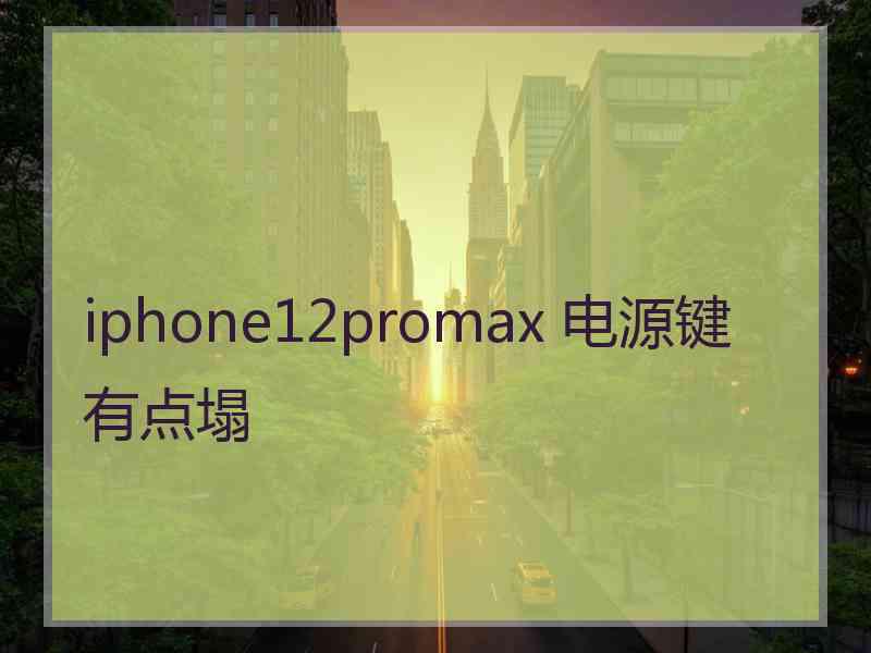 iphone12promax 电源键有点塌