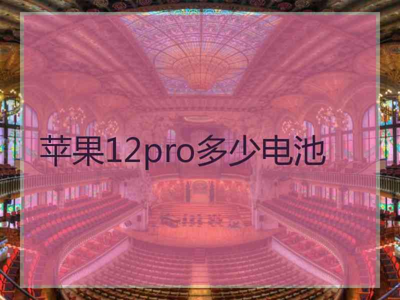 苹果12pro多少电池