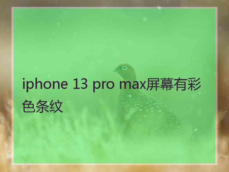 iphone 13 pro max屏幕有彩色条纹