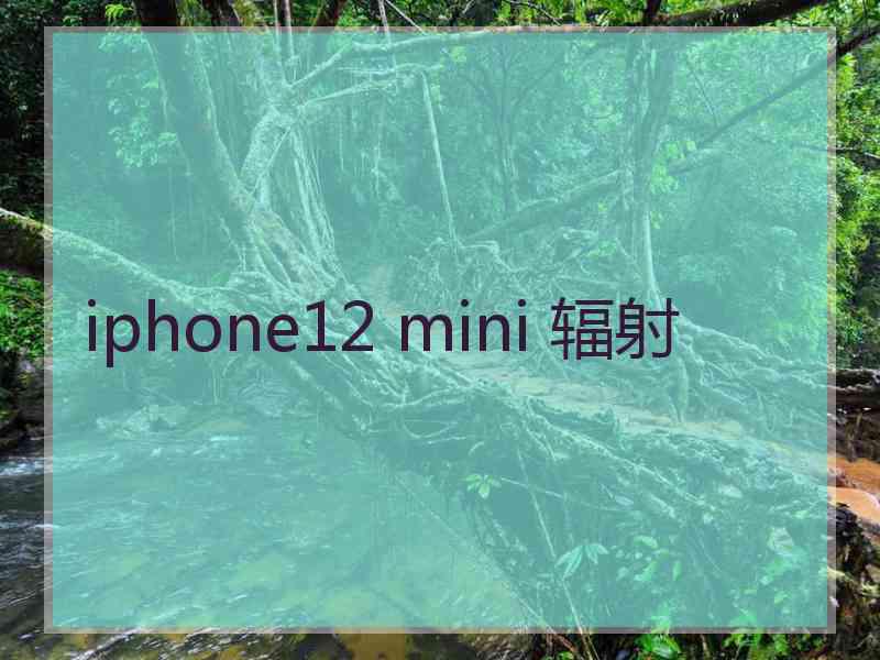 iphone12 mini 辐射