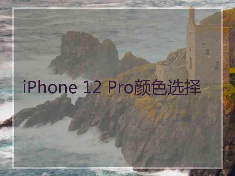 iPhone 12 Pro颜色选择