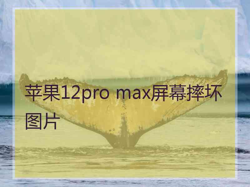 苹果12pro max屏幕摔坏图片