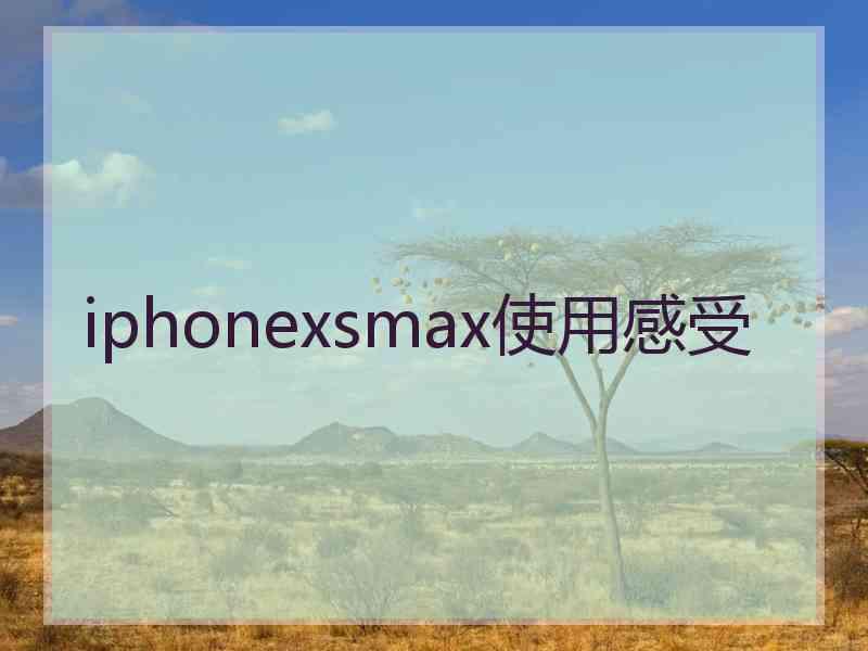 iphonexsmax使用感受