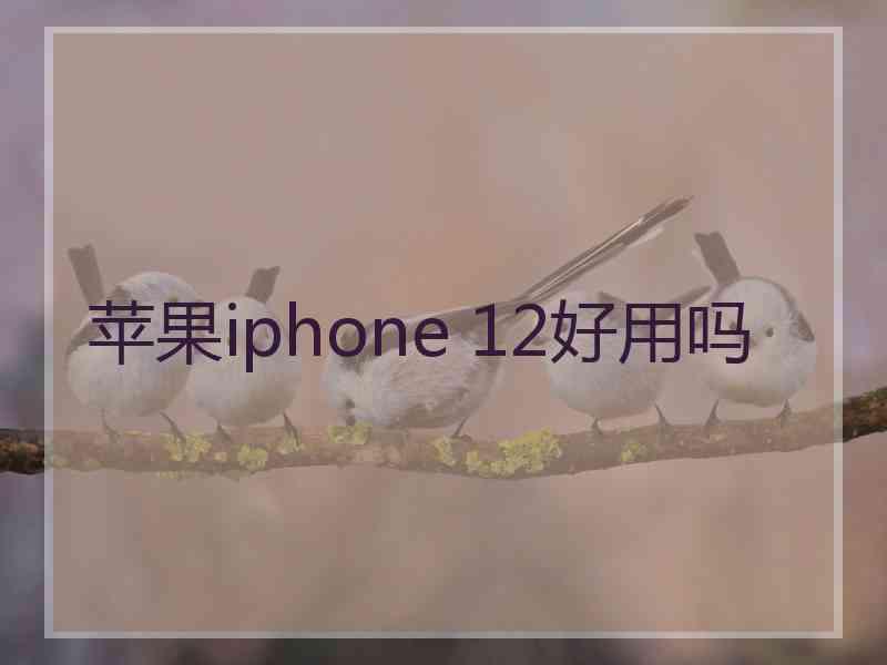 苹果iphone 12好用吗