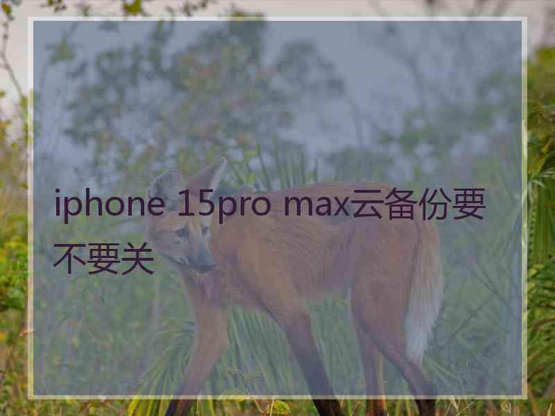 iphone 15pro max云备份要不要关