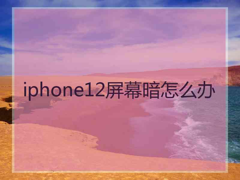 iphone12屏幕暗怎么办