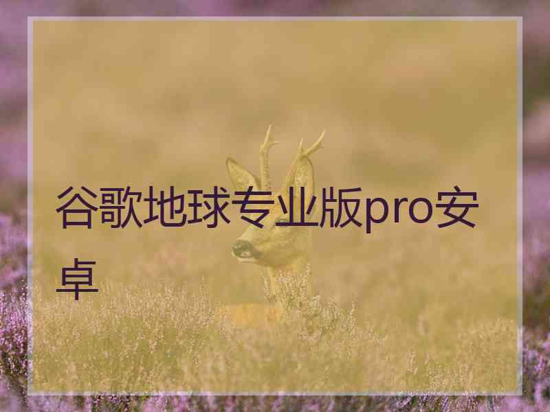 谷歌地球专业版pro安卓