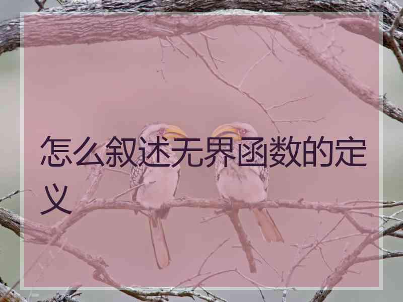 怎么叙述无界函数的定义