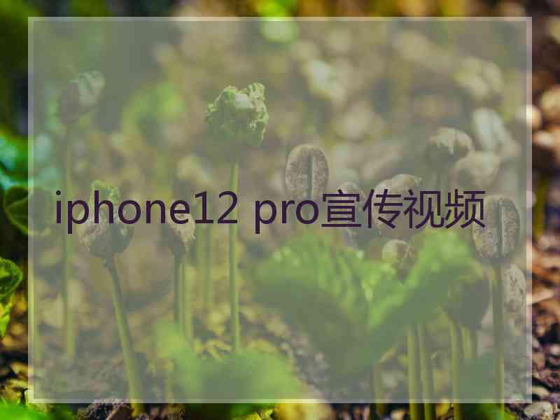 iphone12 pro宣传视频