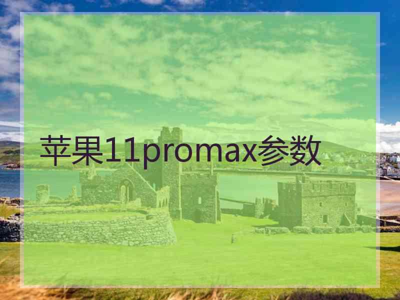 苹果11promax参数