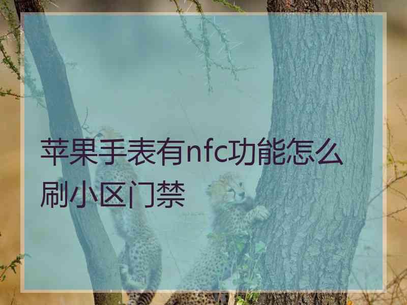 苹果手表有nfc功能怎么刷小区门禁