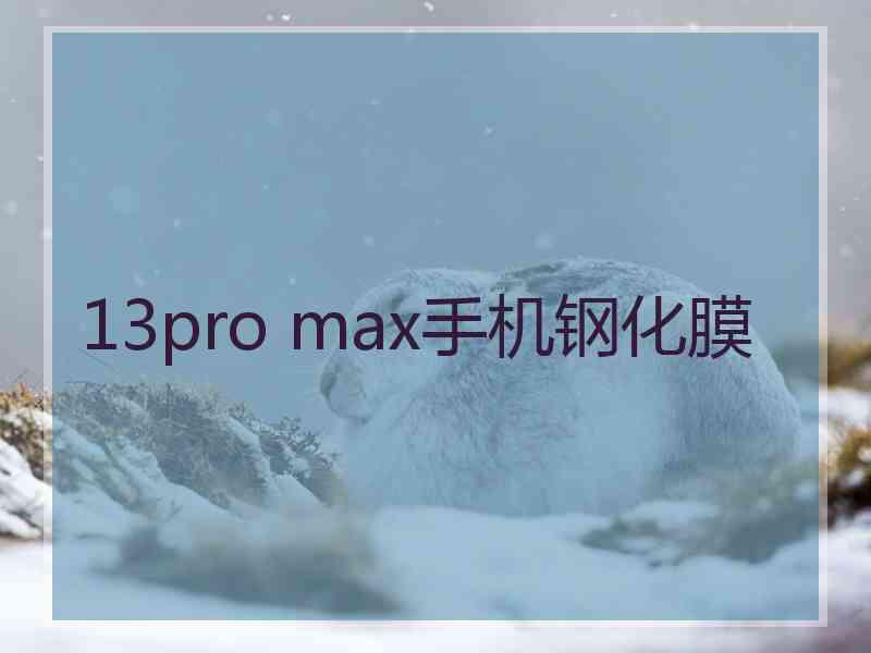 13pro max手机钢化膜