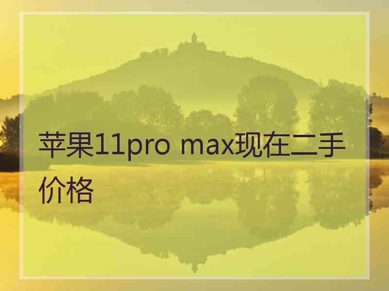 苹果11pro max现在二手价格