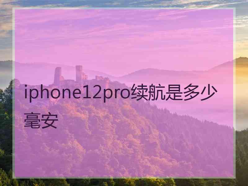 iphone12pro续航是多少毫安