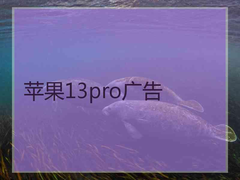 苹果13pro广告