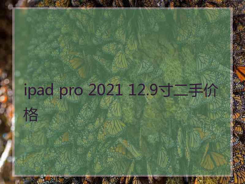 ipad pro 2021 12.9寸二手价格